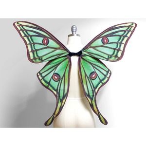 Spanish Moon MOTH Costume Wings, Green Fairy Wings, Renaissance Festival